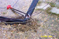 040131_coastal_bathrooms_mast.jpg (45447 bytes)