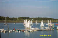 DCP_0426.jpg (37669 bytes)