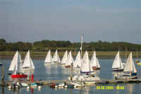 DCP_0429.jpg (43479 bytes)