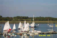 DCP_0431.jpg (43313 bytes)