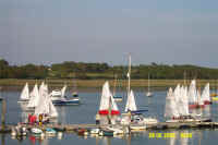 DCP_0432.jpg (43739 bytes)